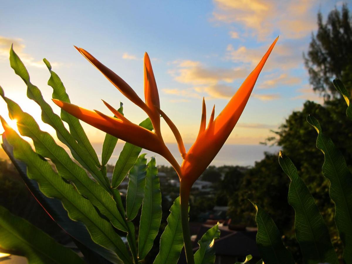 Bounty Lodge Tahiti Arue  Екстериор снимка