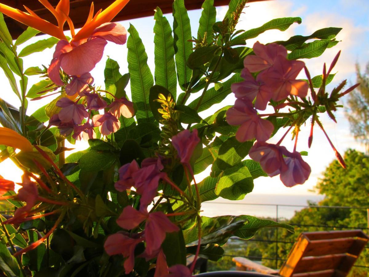 Bounty Lodge Tahiti Arue  Екстериор снимка